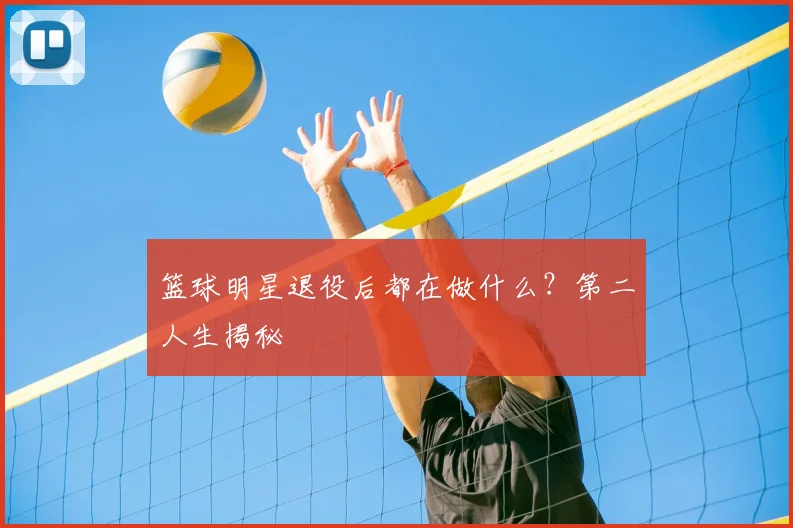 篮球明星退役后都在做什么？第二人生揭秘