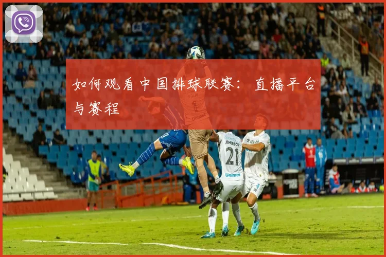 如何观看中国排球联赛:直播平台与赛程