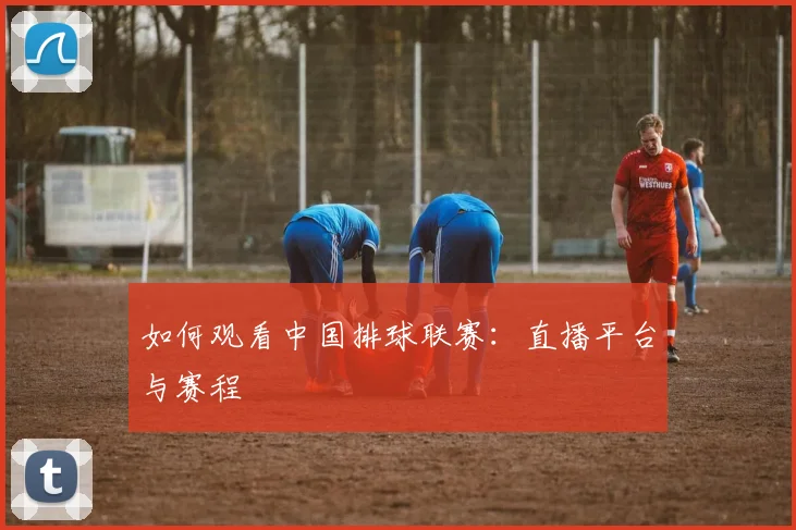 如何观看中国排球联赛:直播平台与赛程