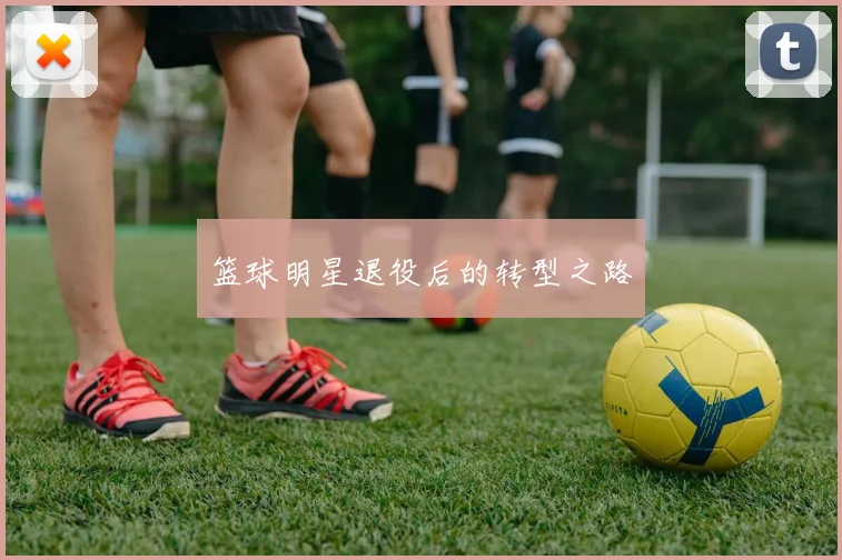 篮球明星退役后的转型之路